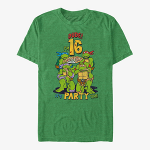 Queens Nickelodeon Teenage Mutant Ninja Turtles - Ninja Birthday 16 Unisex T-Shirt Retro Heather Green