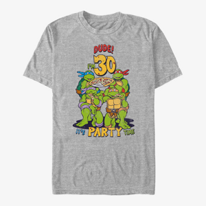 Queens Nickelodeon Teenage Mutant Ninja Turtles - Ninja Birthday 30 Unisex T-Shirt Heather Grey