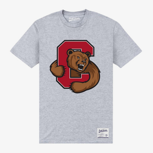 Queens Park Agencies - Cornell University Bear Unisex T-Shirt Sport Grey