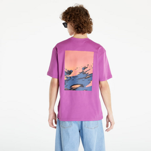 Tričko s krátkym rukávom The North Face Graphic T-Shirt 3 Purple Cactus Flower